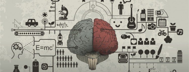 هل هناك إختلاف في دماغ من يدرس العلوم ومن يدرس الأدب؟ Do