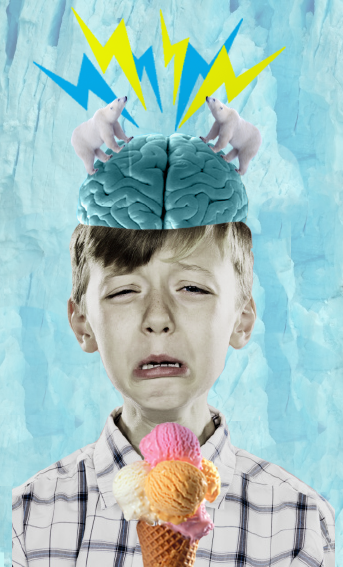 لماذا تتسبب المثلجات في حدوث ألم في الرأس؟ Do