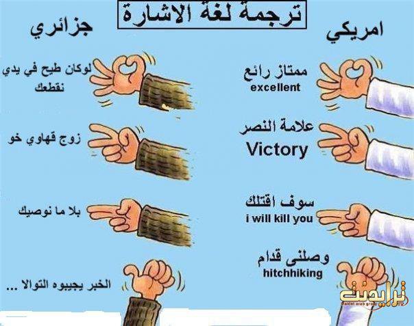 القعدة