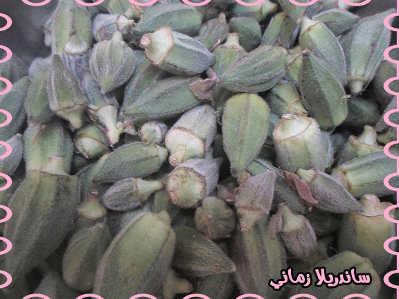 القعدة