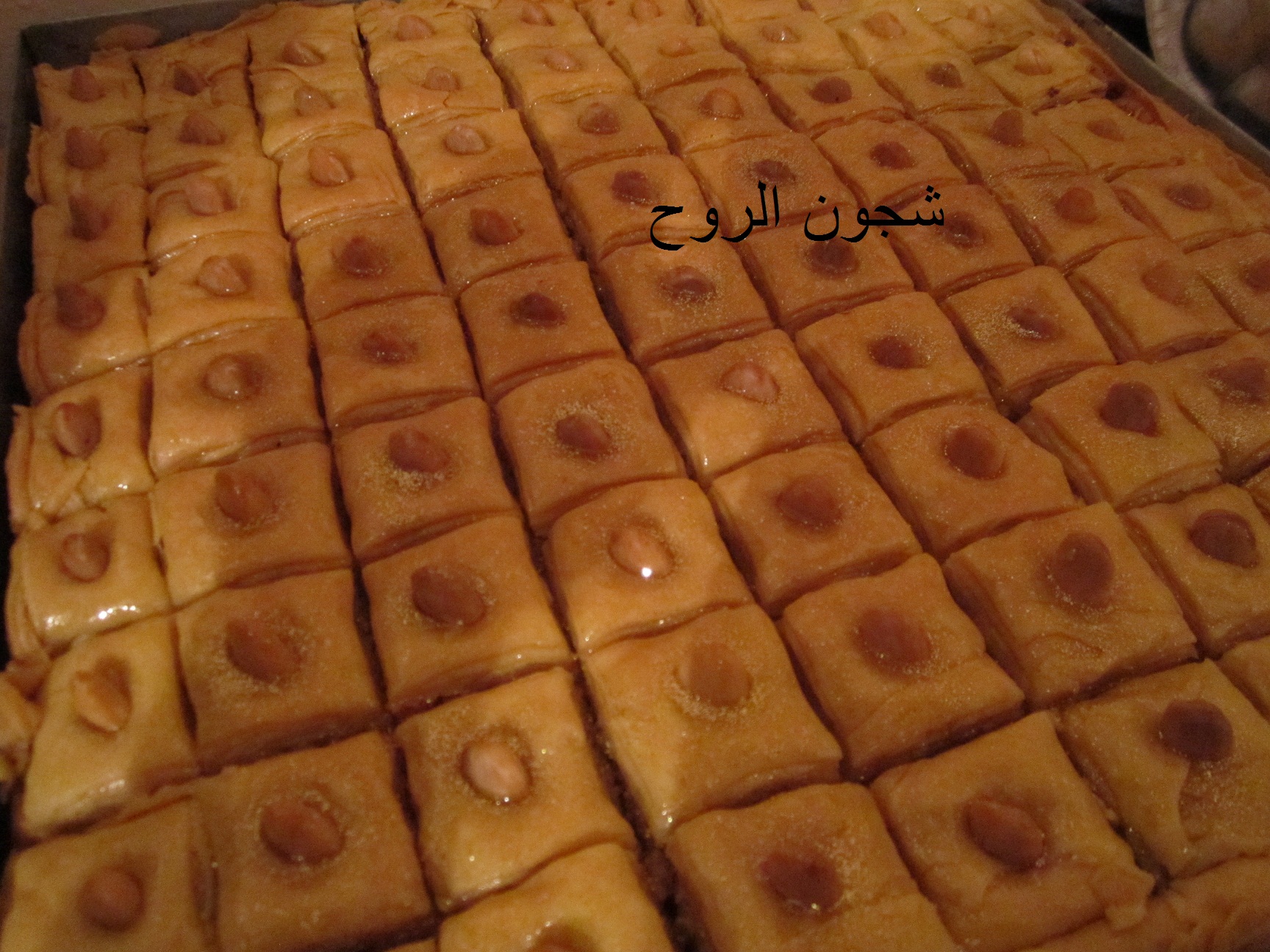 القعدة