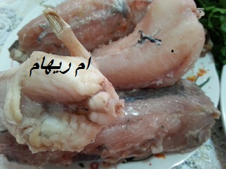 القعدة