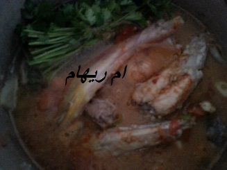 القعدة