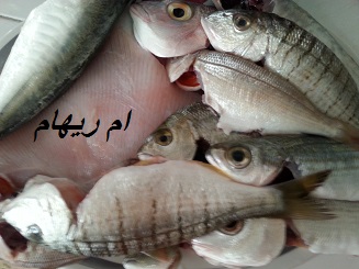 القعدة