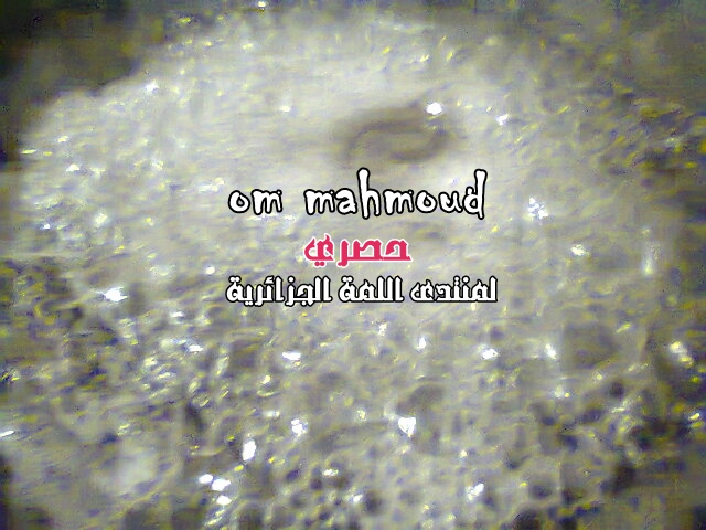 القعدة