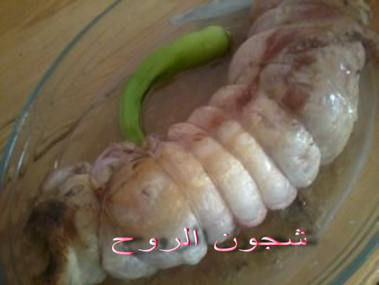 القعدة