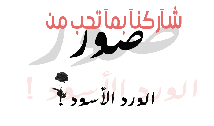 القعدة