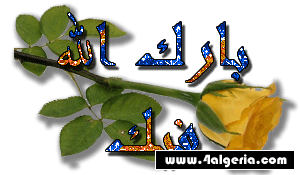 القعدة